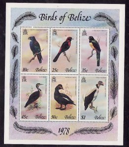 Belize-Sc#403a- id9-unused NH sheet-Birds-1978-