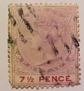 LAGOS # 29 CAT $ 40.00