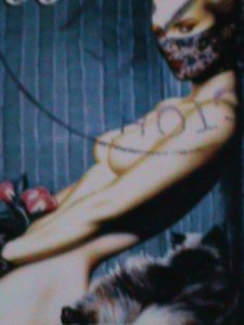 ​TADJIKISTAN STAMP:THE ART OF OLIVIA PAINTING - CTO--STAMP S/S SHEET