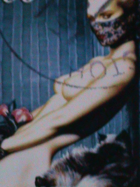 ​TADJIKISTAN STAMP:THE ART OF OLIVIA PAINTING - CTO--STAMP S/S SHEET