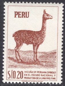 PERU SCOTT 461