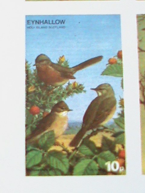 EYNHALLOW SCOTLAND STAMP -RARE BIRDS -IMPERF- MNH - MINI SHEET  NO GUM AS ISSUED