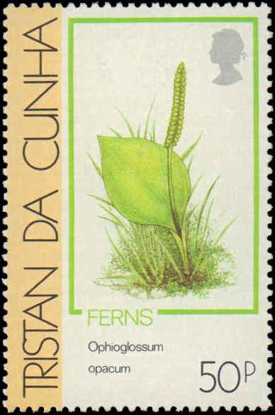 Tristan Da Cunha #460-463, Complete Set(4), 1989, Plants, Never Hinged