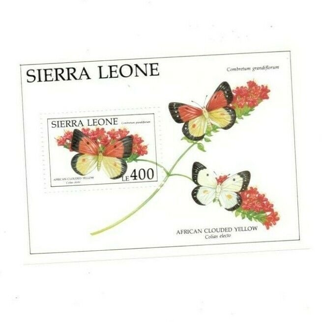 Sierra Leone 1991 - Clouded Yellow Butterfly - Souvenir Sheet - Scott 1408 - MNH