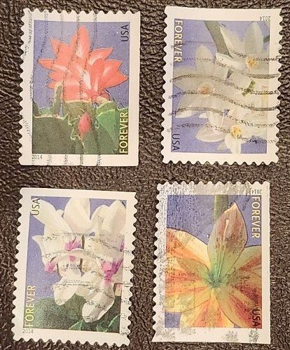 US Scott # 4862-4865; 4 used (49c) forever Winter Flowers, 2014; vF centering
