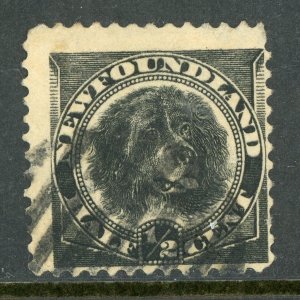 Canada 1894 Newfoundland ½¢ Black Dog Scott 58 Used V415