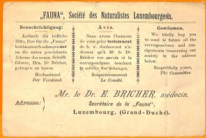 99362 - LUXEMBOURG - Postal History - ADVERTISING COVER Animals Fauna 1900-