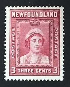 Newfoundland 246 F MH