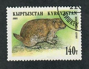 Kyrgyzstan #56 Woodchuck used single