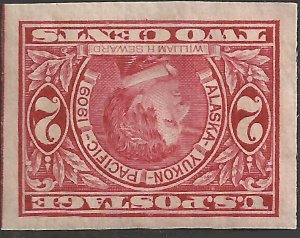 # 371 Mint Never Hinged Carmine William H. Seward