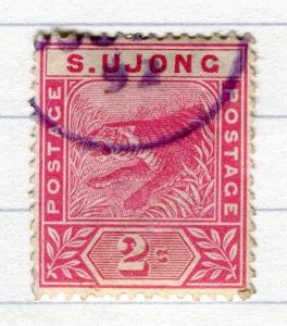 MALAYA;  S.UJONG 1891 classic Tiger issue fine used 2c. value