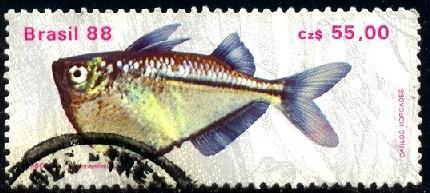 Fresh-Water Fish, Hatchetfish, Brazil stamp SC#2157a used