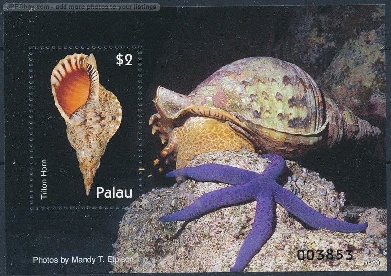 [121855]Palau2007Marine life sea snail Triton horn starfishSouvenir sheet MNH