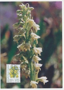 Maximum card Greenland 1996 Orchid