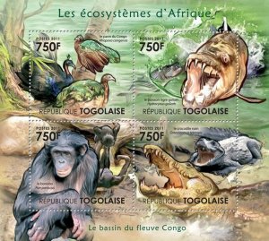 TOGO - 2011 - C. River Basin  - Perf 4v Sheet - Mint Never Hinged