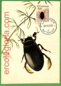 32523 - YUGOSLAVIA - MAXIMUM CARD - 1966 - INSECTS-