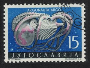 Yugoslavia Common paper nautilus Mollusc 1956 Canc SC#453 SG#826 MI#796