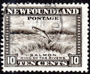 Newfoundland 193 - Used - 10c Salmon Leaping Falls (perf 13.5) (1932) (cv $0.85)