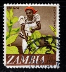 Zambia - #44 Tobacco Picker - Used