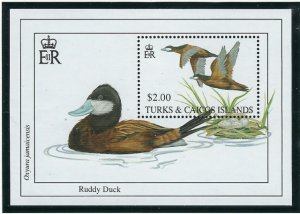 Turks and Caicos 1054 MNH 1993 Ruddy Duck (ak5500)