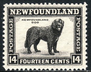 1941-44 Newfoundland Canada Dog 14¢ MNH perf 12½ Sc# 261 CV: $2.75