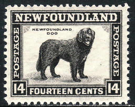 1941-44 Newfoundland Canada Dog 14¢ MNH perf 12½ Sc# 261 CV: $2.75