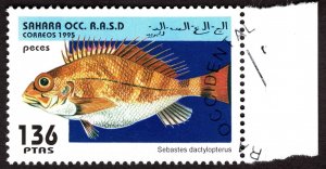 1995, Western Sahara, 136p, Used CTO