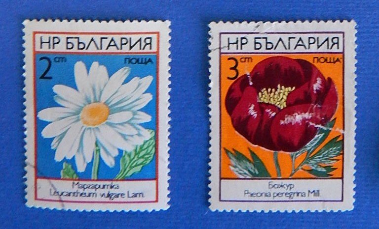 Flowers (R-167)