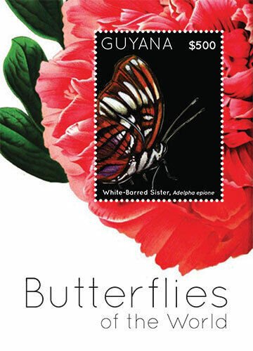 Guyana 2012 - Butterflies Of The World - Souvenir Stamp Sheet - MNH