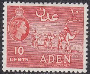 Aden 49 Camel Transport 1953