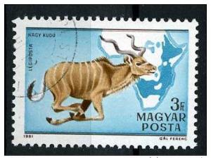 Hungary  1981 - Scott C427E used - 3fo, Antilope 