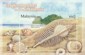 2008 SEASHELLS OF MALAYSIA MS SG#MS1529 MNH