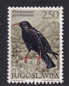 Yugoslavia   #1104  used 1972  birds 2.50d