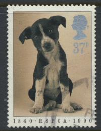 Great Britain SG 1482  Used   - RSPCA Animals 