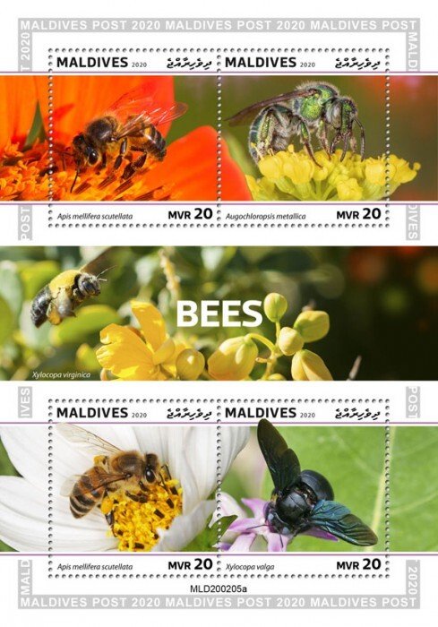 Stamps  MALDIVES 2020 - BEES.