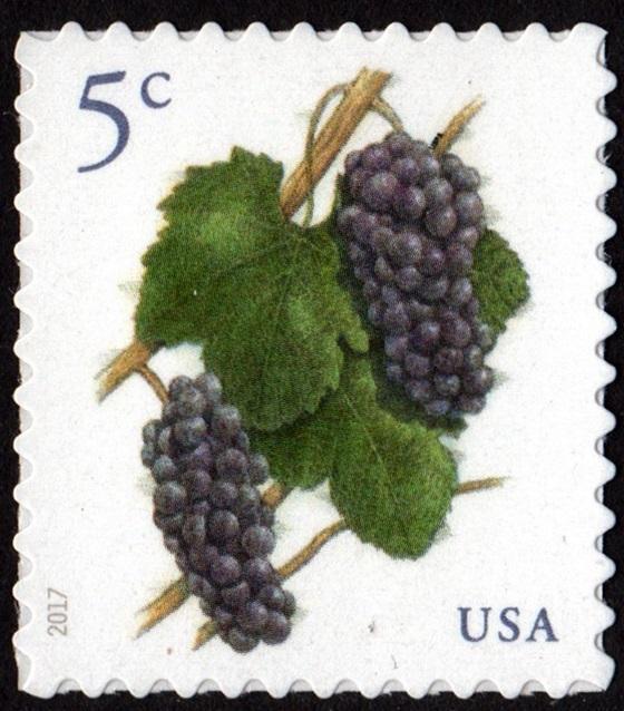 SC#5177 5¢ Grapes Single (2017) SA