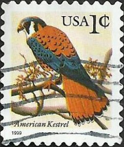 # 3031 USED AMERICAN KESTREL