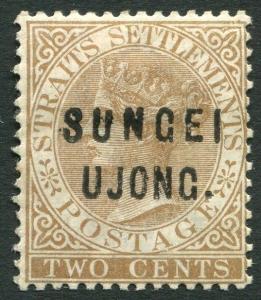 SUNGEI UJONG-1883-84 2c Brown Sg 28 MOUNTED MINT V19927