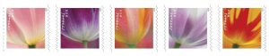 USPS 2023 Tulip Blossom Forever First Class Postage Stamps  (total 700 pcs)