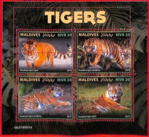 A4039 - MALDIVES - ERROR MISPERF, Miniature sheet: 2019, Tigers