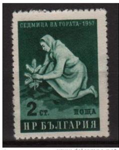 Bulgaria 1957 - Scott 977 used - 5s, Woman planting tree 