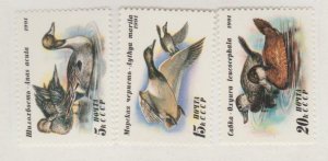 Russia Scott #6009-6010-6011 Stamp - Mint NH Set