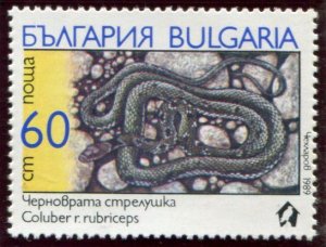 3491-3496 Bulgaria Snakes, Mint NG set of 6