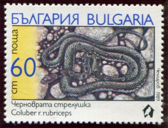 3491-3496 Bulgaria Snakes, Mint NG set of 6