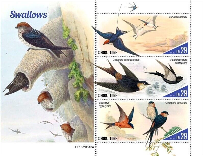 Sierra Leone - 2022 Swallows, Black Saw-wing - 3 Stamp Sheet - SRL220513a