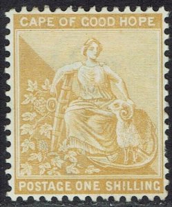 CAPE OF GOOD HOPE 1893 HOPE SEATED 1/-