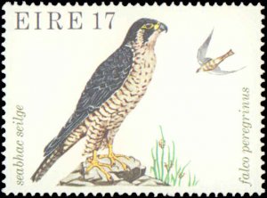 Ireland #449-452, Complete Set(4), 1979, Birds, Never Hinged