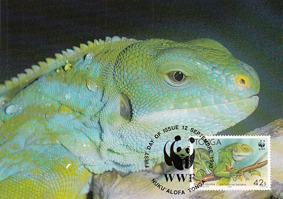 Tonga 1990 Maxicard Sc #753 42s Banded iguana WWF