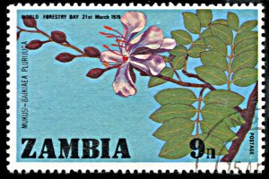 Zambia 158, used, World Forestry Day, Zambian Teak Tree