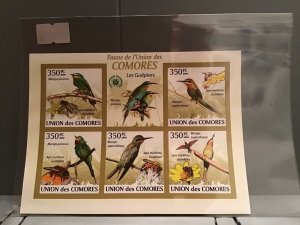 Comoro Islands 2009 Birds  mint never hinged stamp sheet R24057